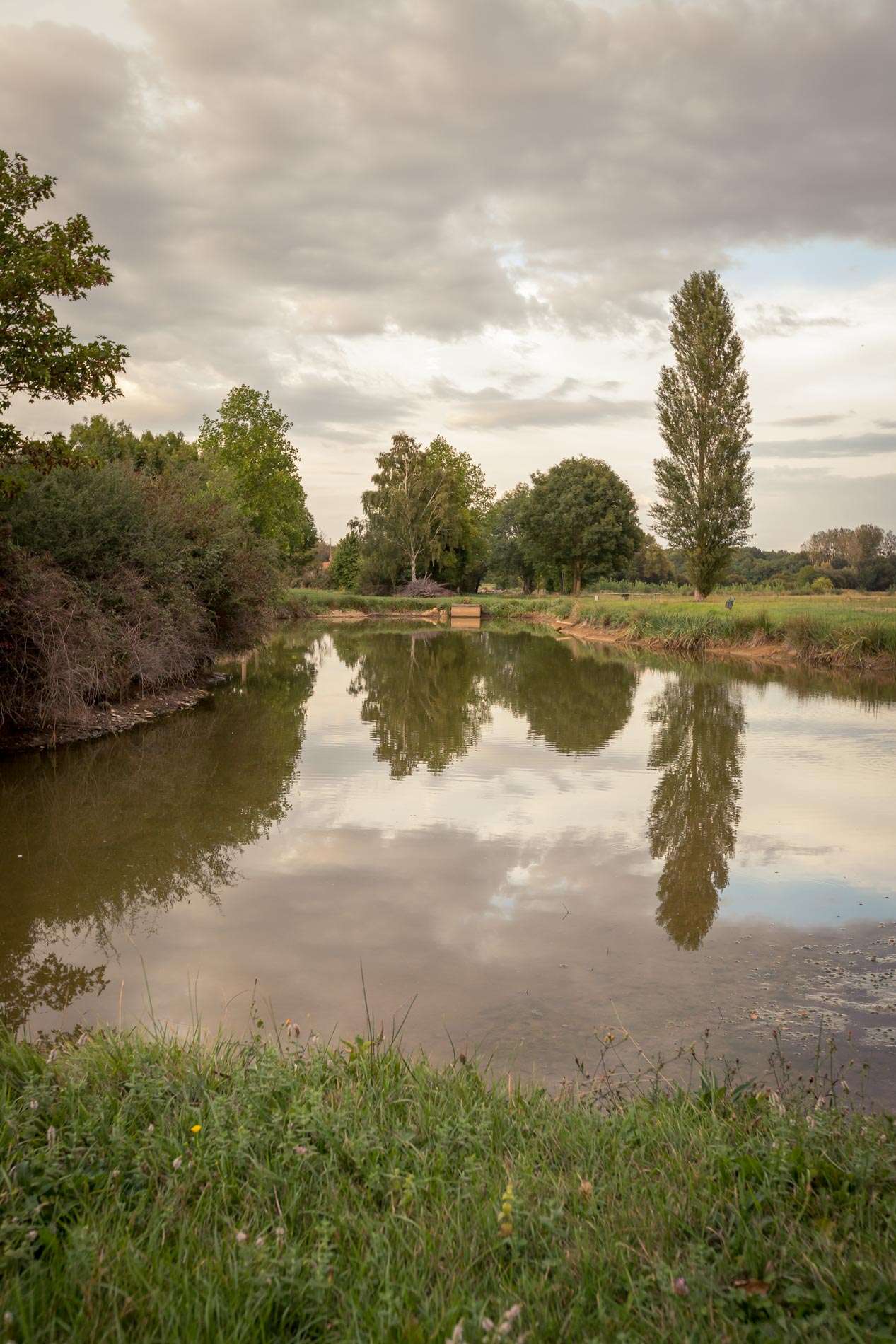 Etang du Petit Marais de Vézières